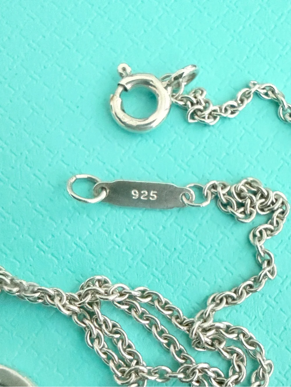 1837 Tiffany & Co. Interlocking Rings Lariat Necklace